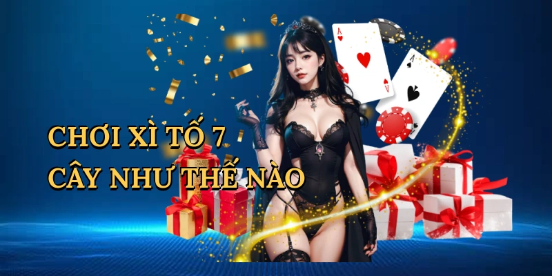 choi-xi-to-7-cay-nhu-the-nao-1