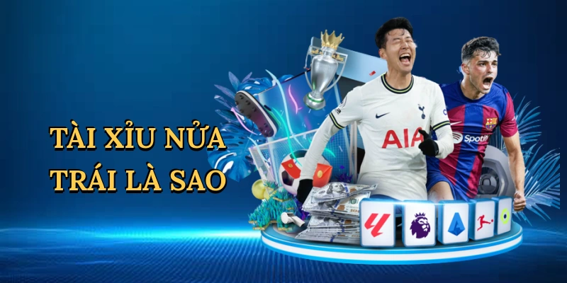 tai-xiu-nua-trai-la-sao-1
