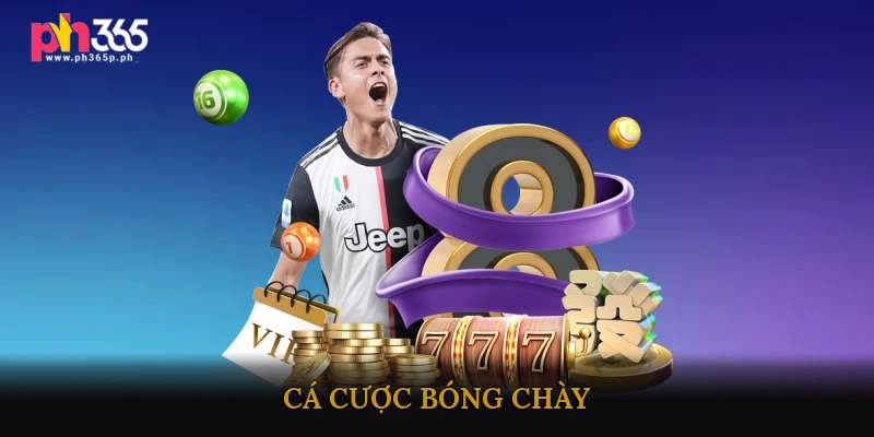 Cá Cược Bóng Chày