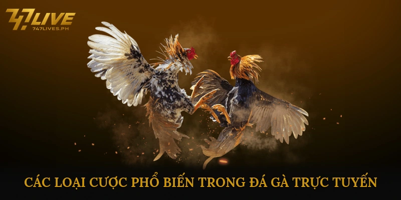 Các loại cược phổ biến trong đá gà trực tuyến