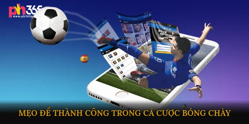 Mẹo Và Chiến Lược Để Thành Công Trong Cá Cược Bóng Chày