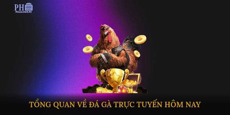 Tổng quan về đá gà trực tuyến hôm nay