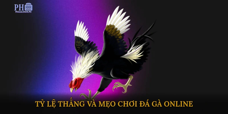 Tỷ lệ thắng và mẹo chơi đá gà online