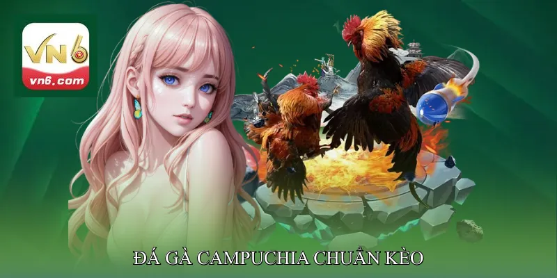 đá gà Campuchia chuẩn kèo