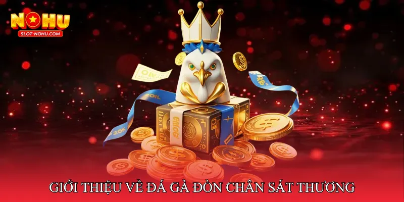 Giới thiệu về đá gà đòn chân sát thương