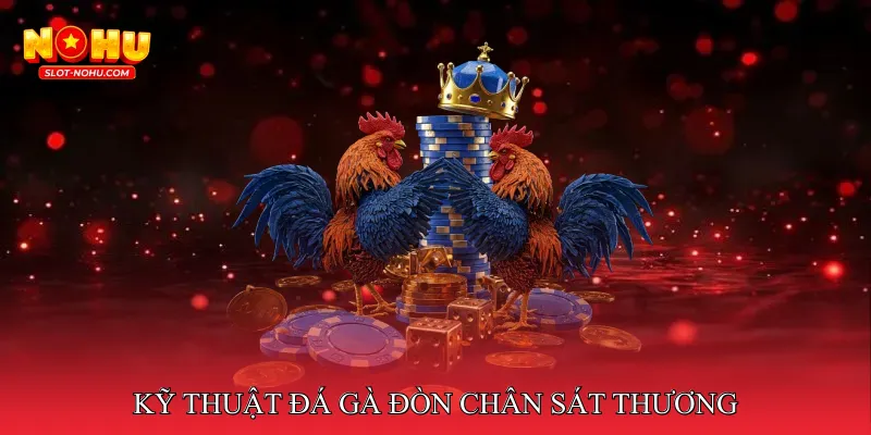 Kỹ thuật đá gà đòn chân sát thương