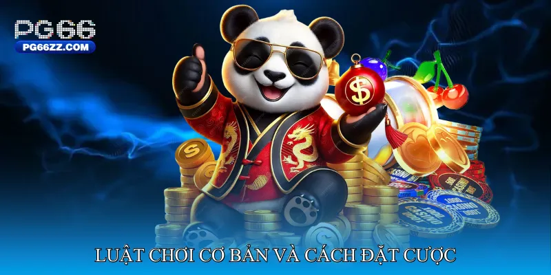 Luật chơi cơ bản và cách đặt cược