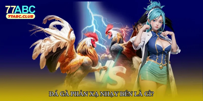 Đá gà phản xạ nhạy bén là gì?