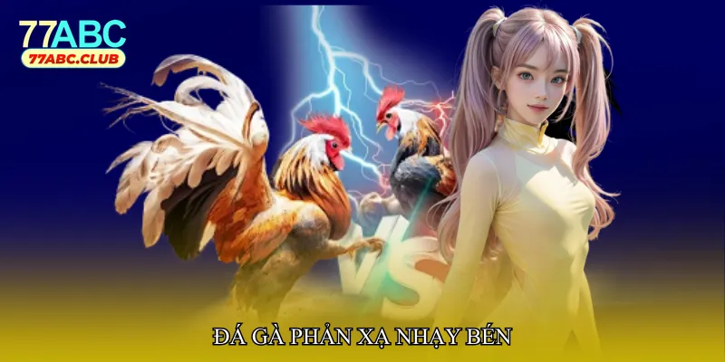 Đá gà phản xạ nhạy bén